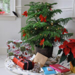 15 Of The Best Christmas Plants | Bbc Gardeners World Magazine With Popular Christmas House Plant Crossword