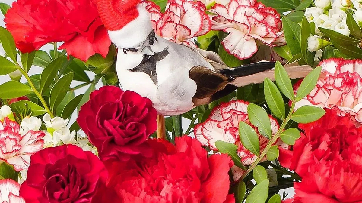Beautiful&amp;#039; £27 Christmas Flowers Delivered From Family-Run Florist throughout A Beautiful Red Flower Christmas Crossword