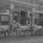 Before Trains And Autos, Stagecoaches Traversed The Midcoast Intended For Horse Drawn Carriages Delivering Christmas Trees Crossword Clue