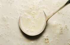 Eggnog The Hard Way – The New York Times for Eggy Christmas Drink Crossword