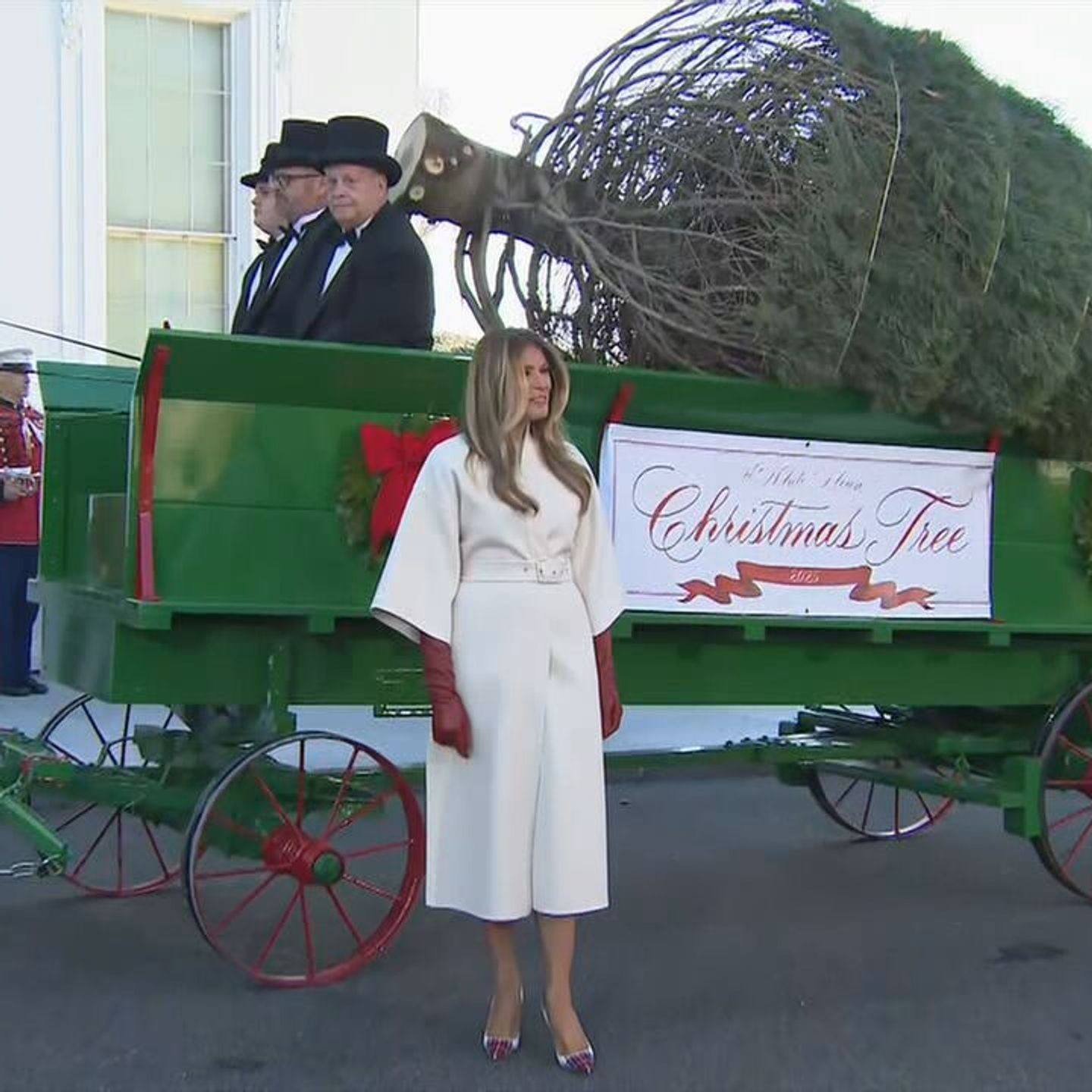 First Lady Welcomes The Official 2025 White House Christmas Tree with regard to Horse Drawn Carriages Delivering Christmas Trees Crossword