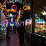 Five Sisters Zoo Will Flip The Switch On Christmas Lights Pertaining To Christmas Light Locale Crossword