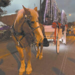 Km Herald 11 16 22Community First Media   Issuu With Horse Drawn Carriages Delivering Christmas Trees Crossword Clue