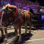Marion'S Christmas In The Park And Peppermint Walk To Return Dec. 5 Pertaining To Horse Drawn Carriages Delivering Christmas Trees Crossword Clue