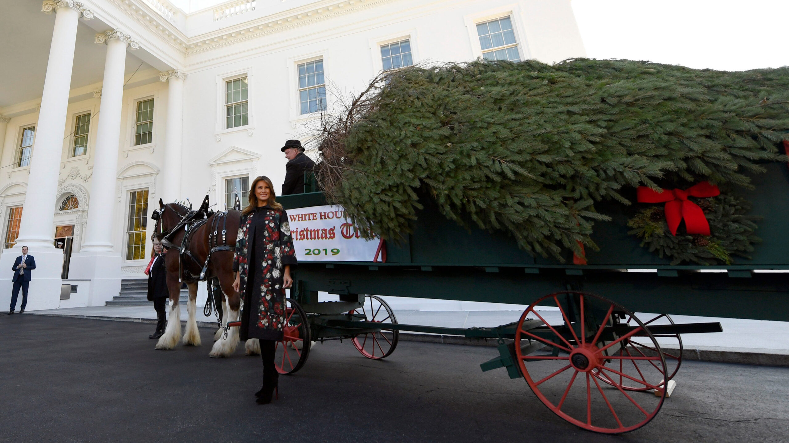Melania Trump Welcomes Christmas Tree To White House | Fox News throughout Horse Drawn Carriages Delivering Christmas Trees Crossword