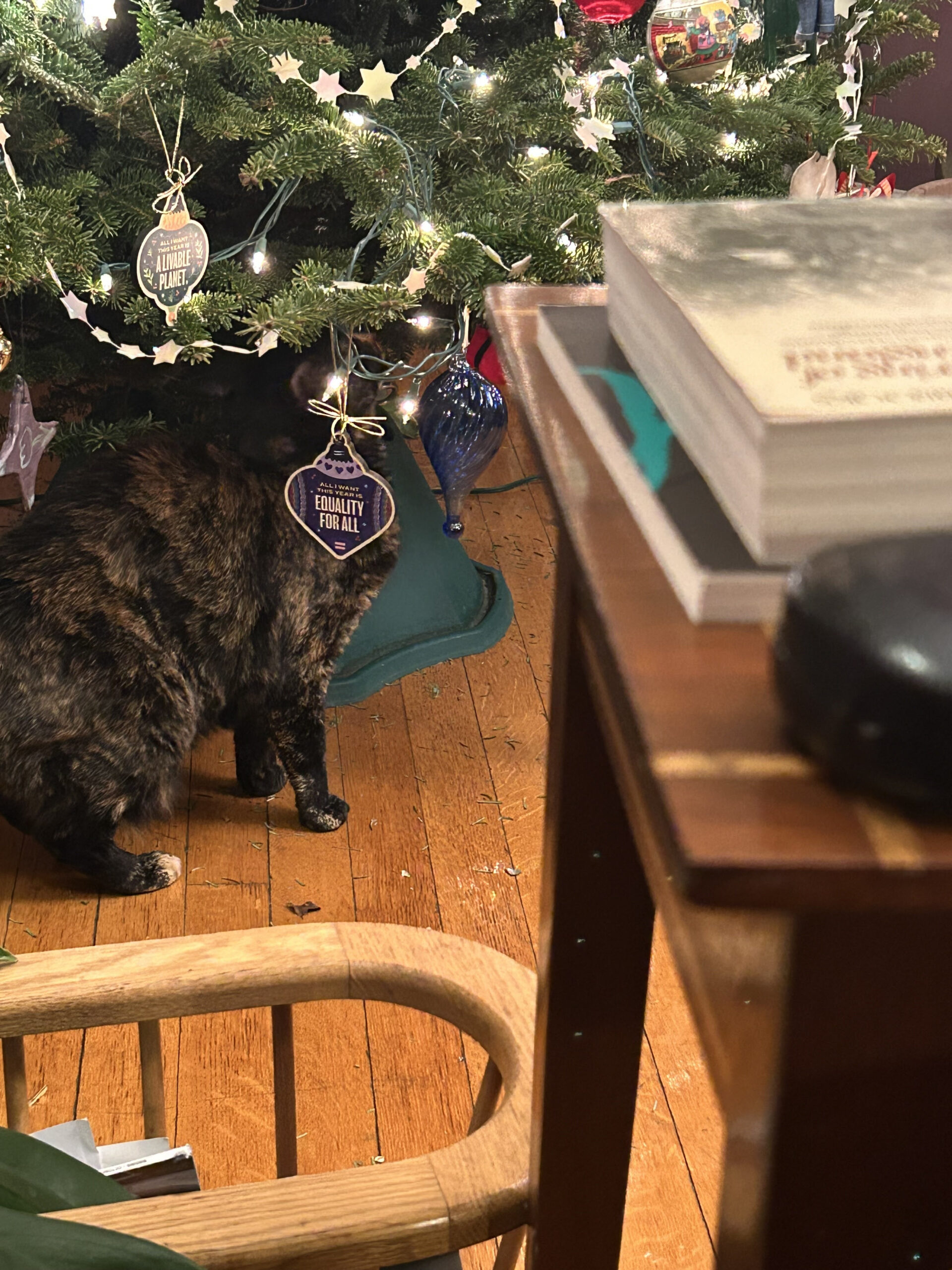 rex parker does the nyt crossword puzzle 2024 intended for it falls on the eve of christmas eve nyt crossword scaled Rex Parker Does The Nyt Crossword Puzzle: 2024 intended for It Falls on the Eve of Christmas Eve Nyt Crossword