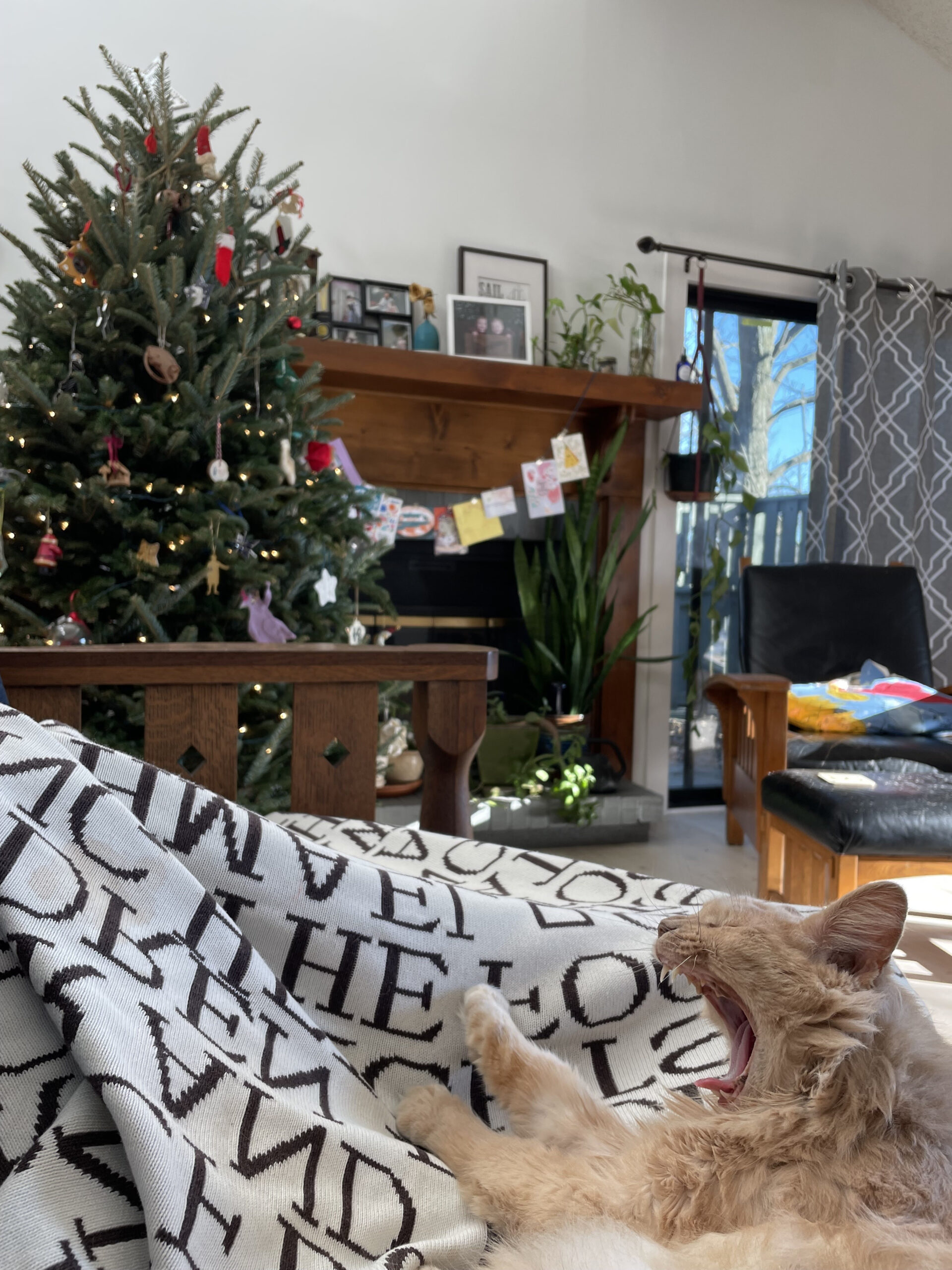 rex parker does the nyt crossword puzzle hungarian violinist regarding christmas baubles often nyt crossword clue scaled Rex Parker Does The Nyt Crossword Puzzle: Hungarian Violinist regarding Christmas Baubles Often Nyt Crossword Clue