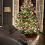 Rex Parker Does The Nyt Crossword Puzzle: Stiff Bristle Throughout Christmas Centerpiece Nyt Crossword Clue