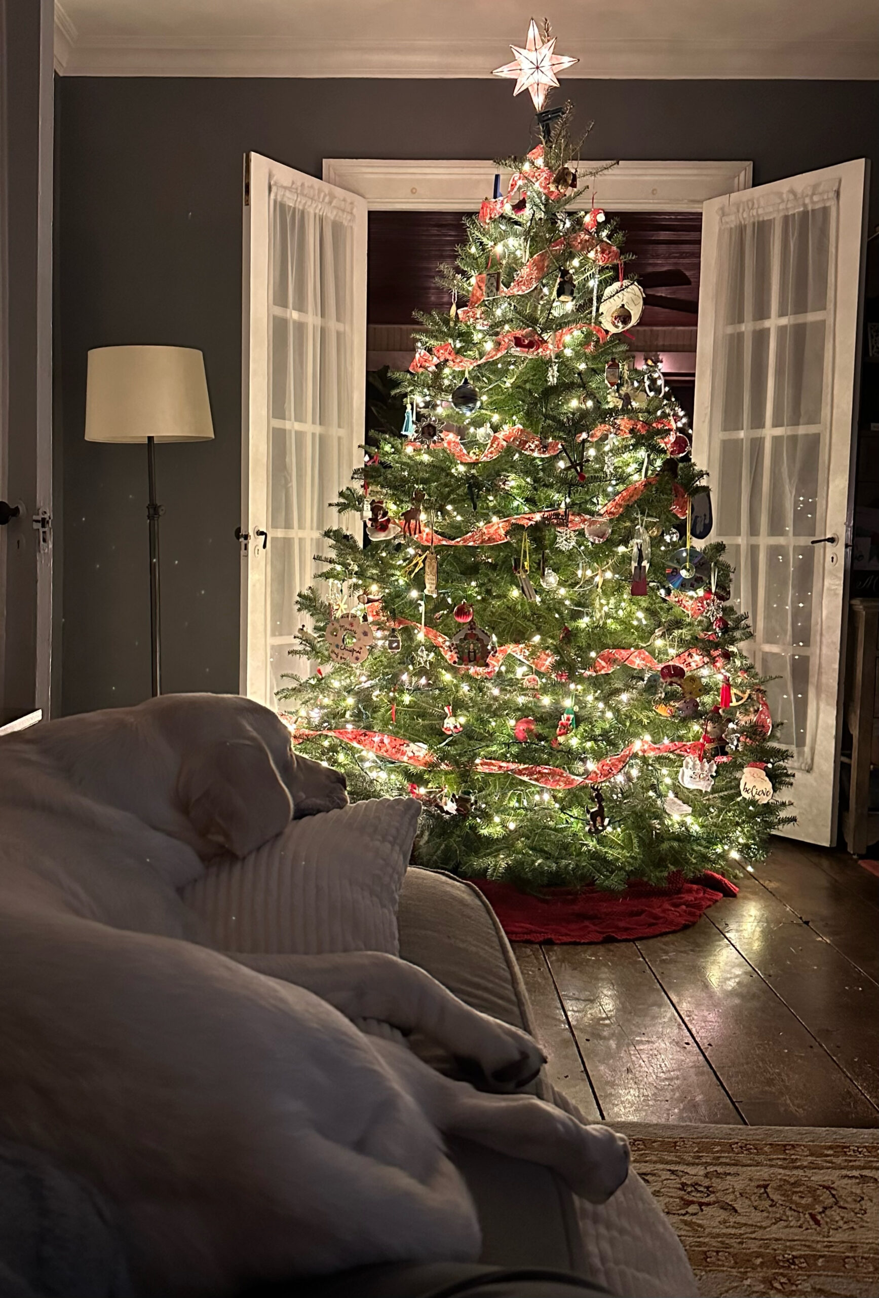 Rex Parker Does The Nyt Crossword Puzzle: Stiff Bristle throughout Christmas Centerpiece Nyt Crossword Clue