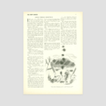 Simple Foreign Christmas | The New Yorker With Regard To Traditional Christmas Sentiment Crossword