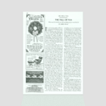 The Fall Of Fun | The New Yorker Within On Christmas In 800 Ad Crossword Clue