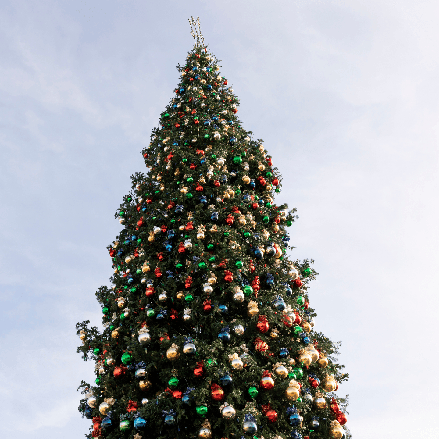The World&amp;#039;S Tallest Christmas Tree Once Stood In A Seattle Mall within Annual Christmas Visitor Crossword