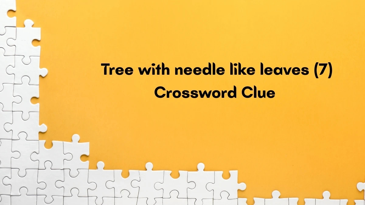 Tree With Needle Like Leaves Crossword Clue Irish Daily Mail Quick within Christmas Conifer Crossword Clue
