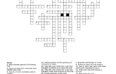 Trees Crossword – Wordmint for Christmas Tree Choice Crossword