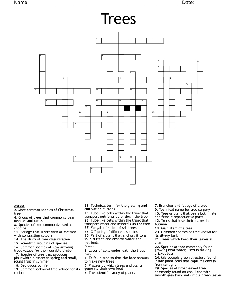 Trees Crossword - Wordmint for Christmas Tree Choice Crossword